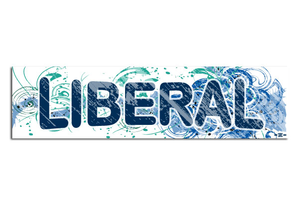 Liberal Fancy Design Bumper Sticker - #BS53075 - DemocraticStuff.com
