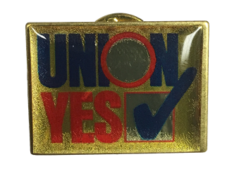 Vote Union Lapel Pin 